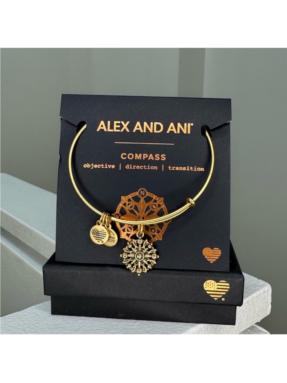 Alex and Ani Gold Compass Charm Bangle Bracelet
